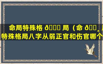 命局特殊格 🐛 局（命 🕸 局特殊格局八字从弱正官和伤官哪个好）